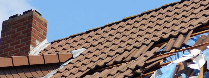 Need a roof repair!